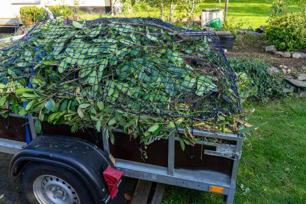 Best Hoarding Cleanup  in East Hazel Crest, IL